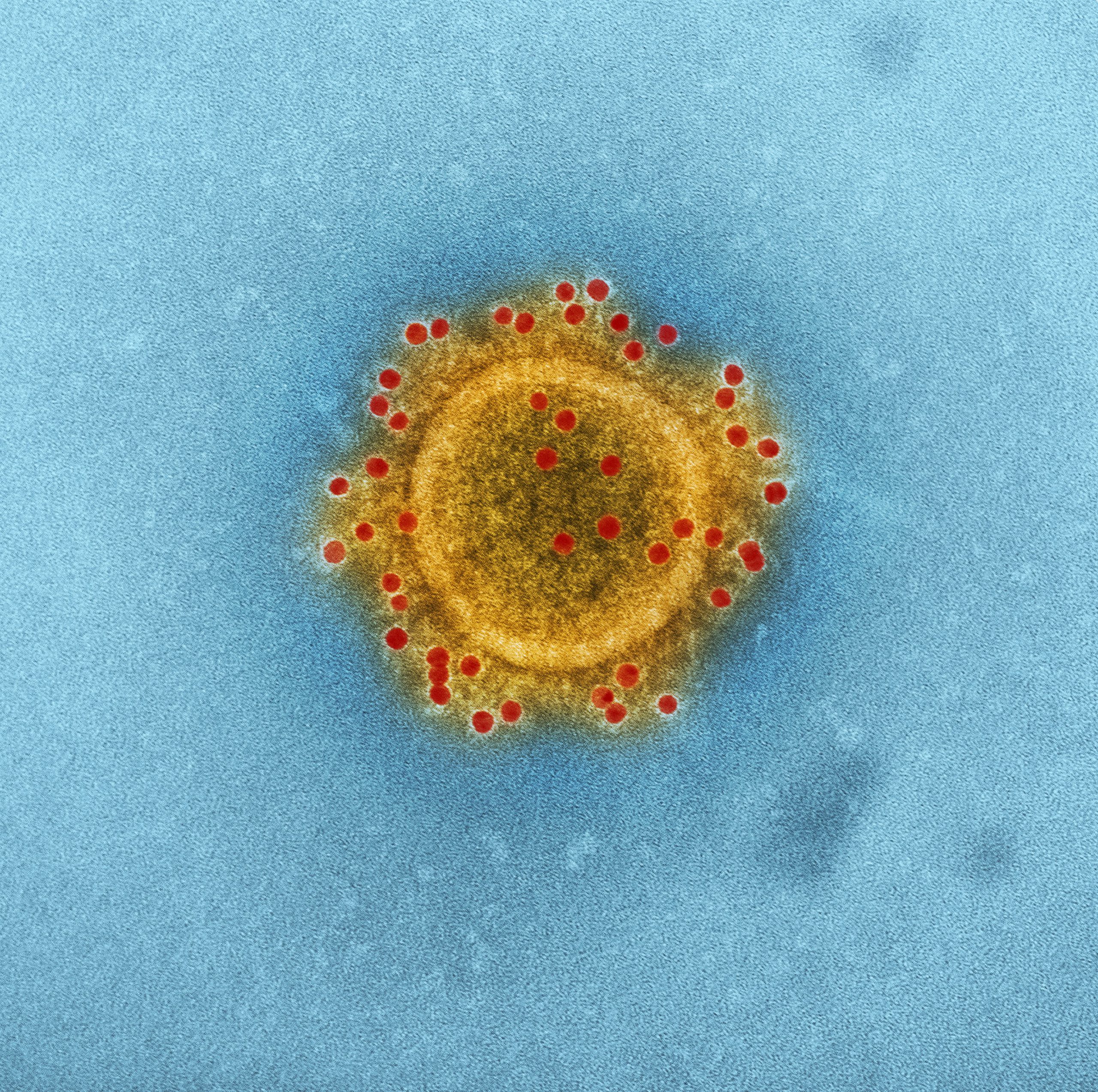 EMERGENZA CORONAVIRUS